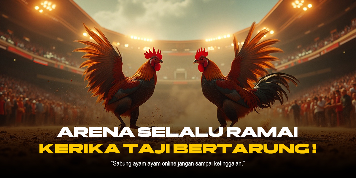 Rahasia Sabung Ayam SV388: Jenis Ayam, Odds, dan Provider Terpercaya